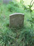 image of grave number 419313